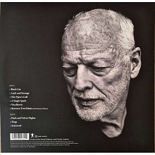 Виниловая пластинка DAVID GILMOUR - LUCK AND STRANGE 180 GRAM TRANSPARENT BLUE VINYL 12"  2