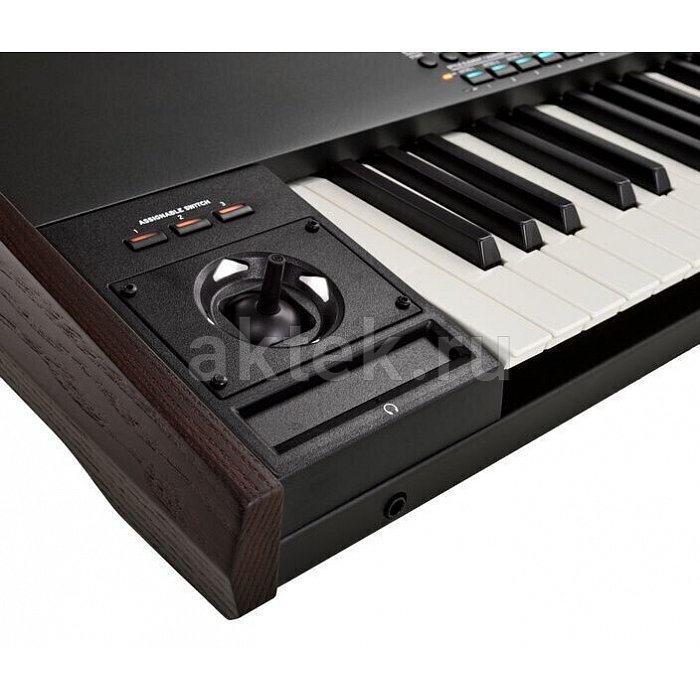 Цифровой синтезатор KORG PA5X 76 Oriental 9
