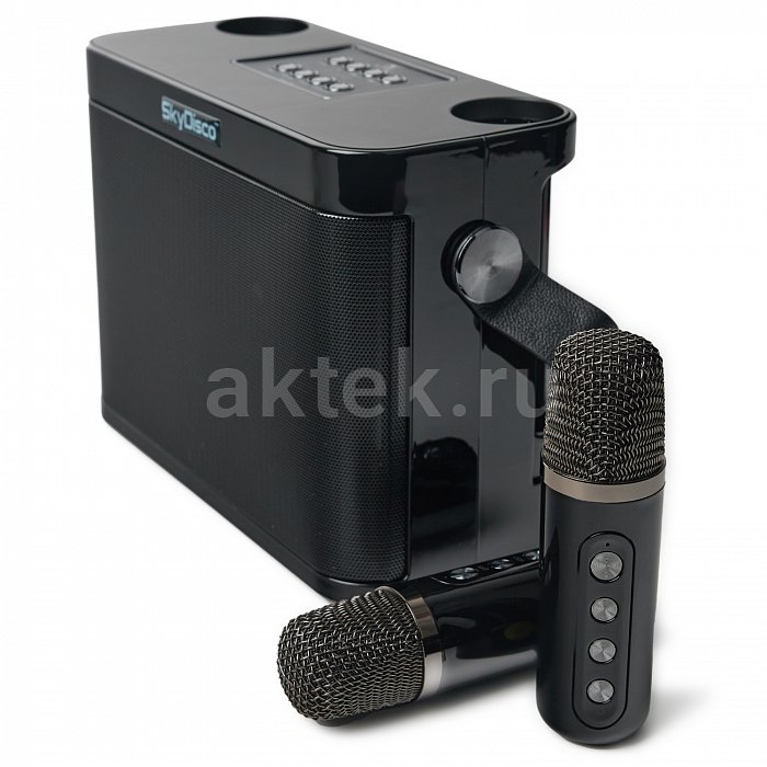 Портативная караоке колонка с микрофонами SkyDisco YS-219