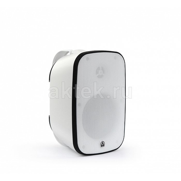 AuraSonics DENSE-5T-WH настенная трансляционная акустика IP66 40 Вт белый