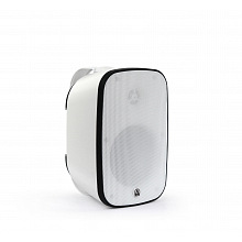 AuraSonics DENSE-5T-WH настенная трансляционная акустика IP66 40 Вт белый