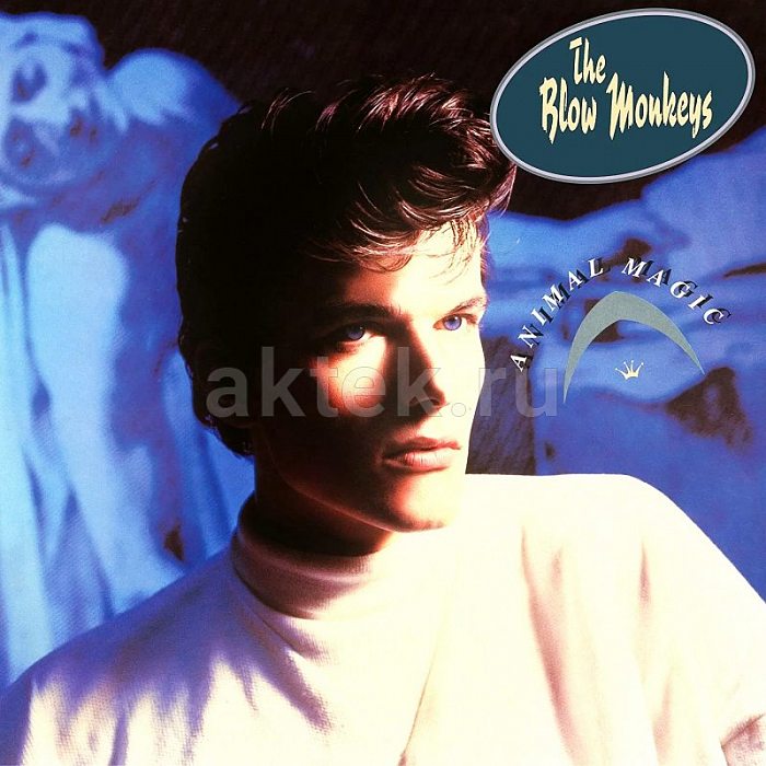 Виниловая пластинка BLOW MONKEYS - ANIMAL MAGIC 180 GRAM WHITE VINYL 12"