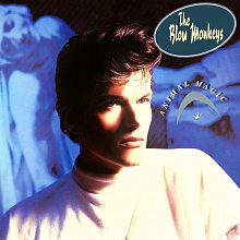 Виниловая пластинка BLOW MONKEYS - ANIMAL MAGIC 180 GRAM WHITE VINYL 12"