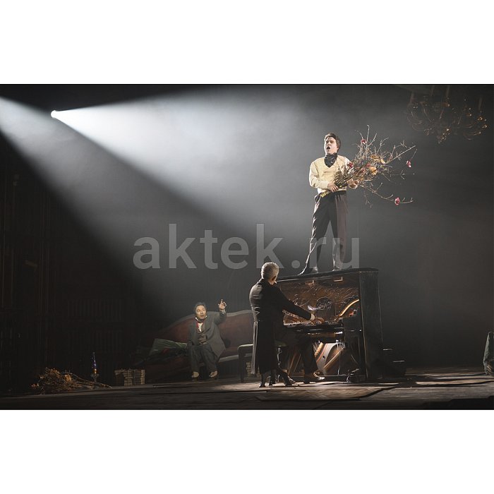 SILVER STAR SS9193SC HC PLUTO T16P HC профильная голова 6
