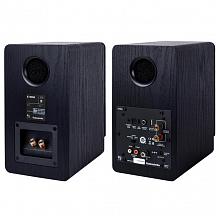 Полочная акустическая система Radiotehnika S-10NA Black Ash 2
