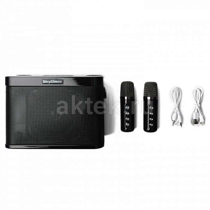 Портативная караоке колонка с микрофонами SkyDisco YS-219 5