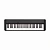 Casio CT-S1BK синтезатор, 61 клавиша, 64 голоса, 61 тембр