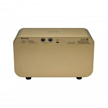 Mooer F15i Li GLD золотой аккумуляторный гитарный мини-комбо, 55 моделей 2