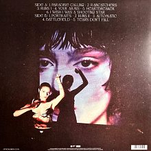 Виниловая пластинка BIRDY - PORTRAITS 12" 180 GRAM VIOLET VINYL 2