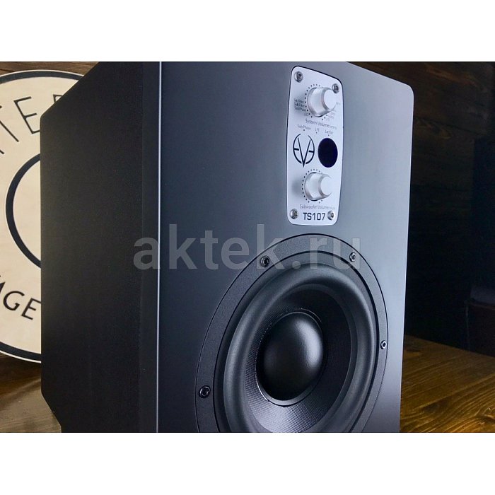 Студийный сабвуфер Eve Audio TS107 2