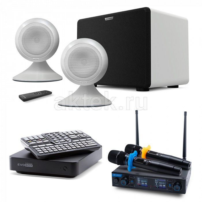 Премиальный комплект караоке с микрофонами и акустикой EVOBOX + SE200D + Sphere 2.1 Pearl Black