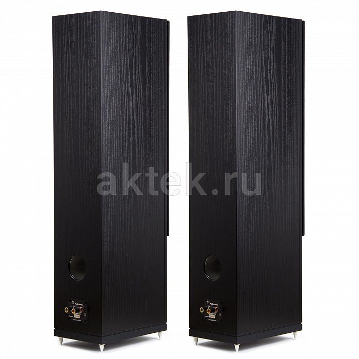 Напольная акустическая система Radiotehnika Gamma 3.02 Black Ash 2