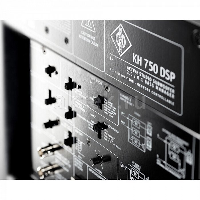 Студийный сабвуфер Neumann KH 750 DSP D G 6