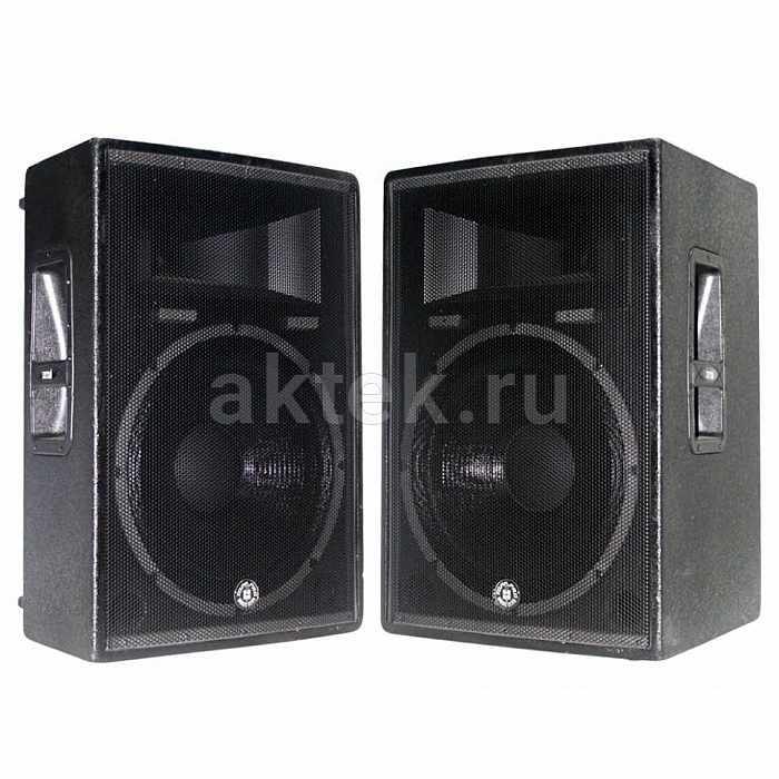 Пассивная акустическая система TOPPRO TPS115NEO 2