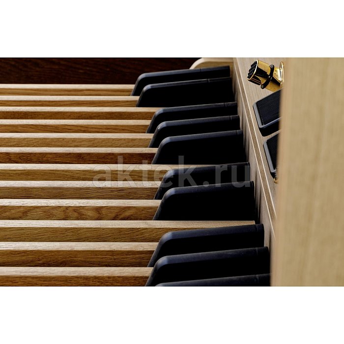 Цифровой орган Viscount Organs DOMUS 4 Light Laminated 6