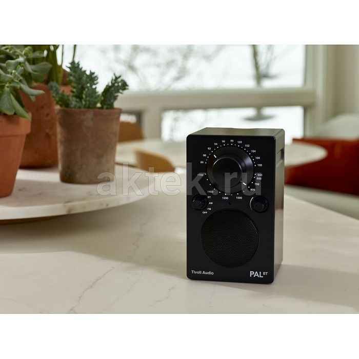Tivoli Audio PAL BT Black портативный Bluetooth/FM-радиоприёмник с аккумулятором 4