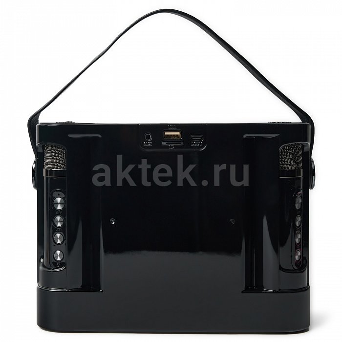 Портативная караоке колонка с микрофонами SkyDisco YS-219 7