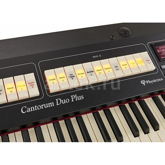 Цифровой орган Viscount Cantorum DUO Plus 7