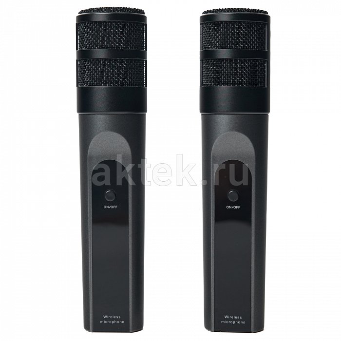 Портативная караоке-колонка с микрофонами SkyDisco YKM23 200 Вт 6
