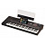 Цифровой синтезатор KORG PA5X 61 Oriental