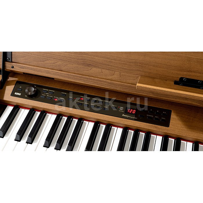Цифровое фортепиано Korg Poetry Magnifique 2