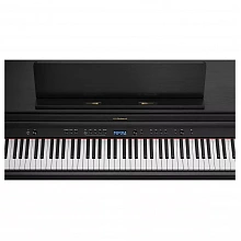 Roland HP704-CH + KSH704/2CH цифровое пианино, 88 клавиш, 384 голоса 3