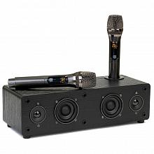 Домашний комплект караоке SkyDisco Karaoke Home Set Plus Final Bass Artifact Black: DVD-плеер, микрофоны, акустика, диск 2000 песен 3