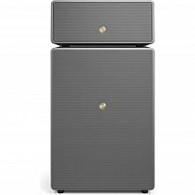 Акустическая система Audio Pro Drumfire II W Grey