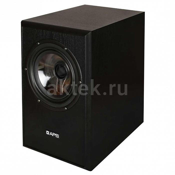 Студийные мониторы APS COAX 2 4