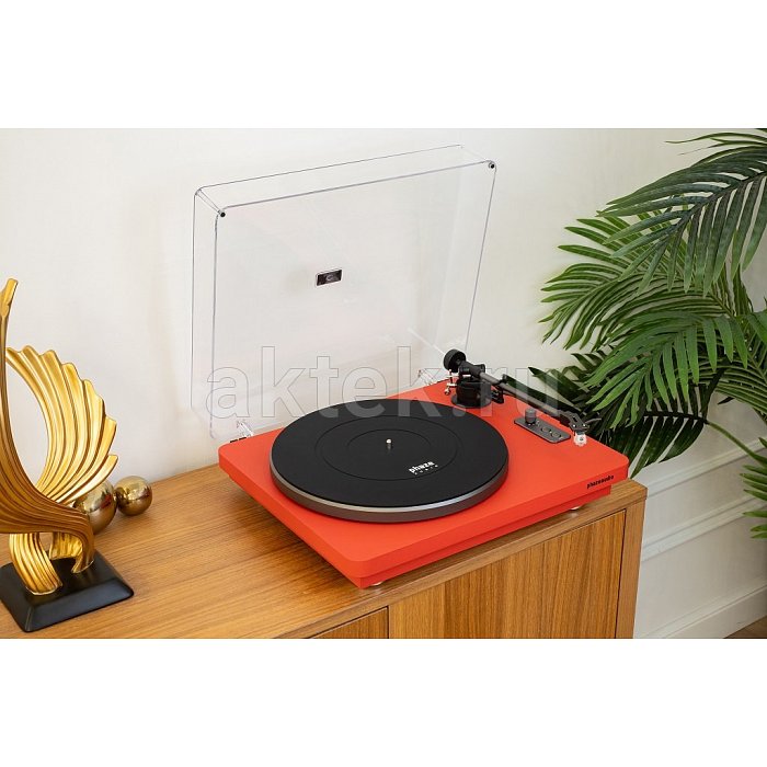 Phaze Audio VOLT Black + Diana MK2 Valkyrian Red стереосистема 2
