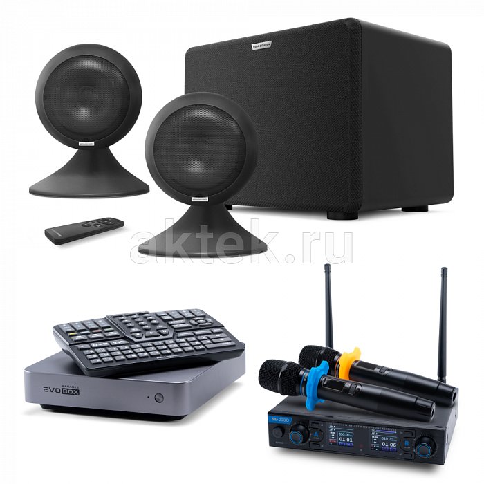 Премиальный комплект караоке с микрофонами и акустикой EVOBOX + SE200D + Sphere 2.1 Graphite