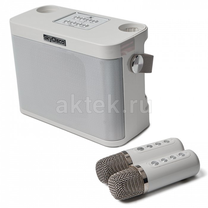 Портативная караоке колонка с микрофонами SkyDisco YS-219 white 10