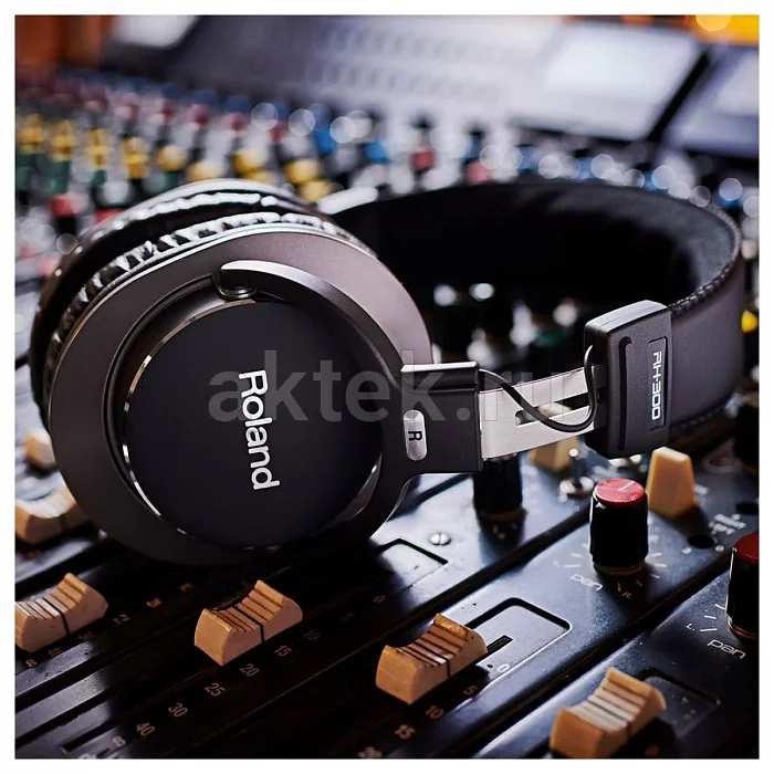 Roland RH-300 мониторные наушники, закрытые, 10 Гц–25 кГц 6