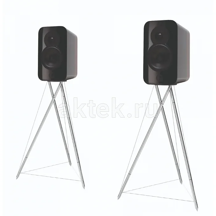 Акустическая система Q Acoustics Concept 300 Gloss Black & Rosewood 2