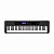 Casio CT-S400 синтезатор, 61 клавиша, 48 голосов, 600 тембров