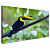 Exell EXPD-WA46AB05 профессиональная ЖК-панель 46″ FHD 500 кд/м²