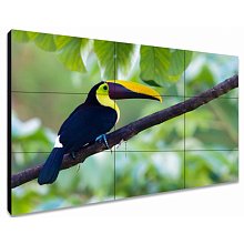 Exell EXPD-WA46AB05 профессиональная ЖК-панель 46″ FHD 500 кд/м²
