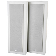Настенная акустика DLS Flatbox Slim Large V2 white пара