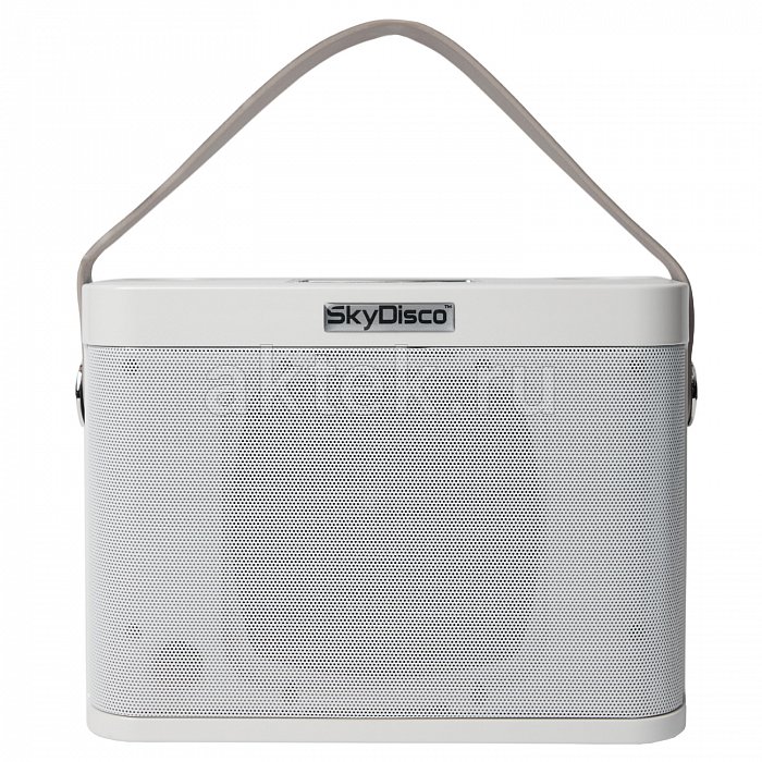 Портативная караоке колонка с микрофонами SkyDisco YS-219 white 13