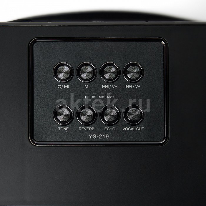 Портативная караоке колонка с микрофонами SkyDisco YS-219 2
