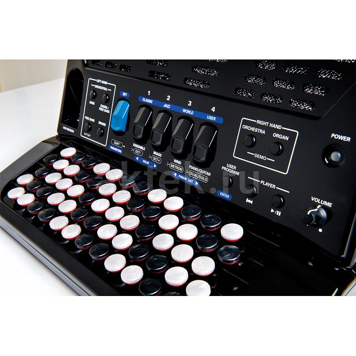 Цифровой аккордеон Roland FR-1XB BK 2