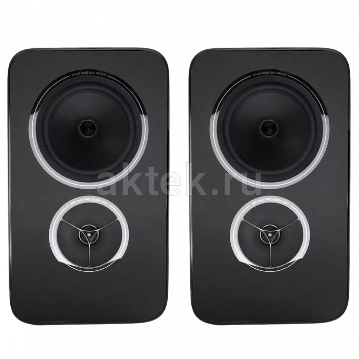 ПОЛОЧНАЯ АКУСТИЧЕСКАЯ СИСТЕМА REGA KYTE BLACK