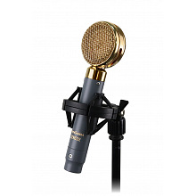 AuraSonics LENS32 студийный микрофон c широкой мембраной, золотой