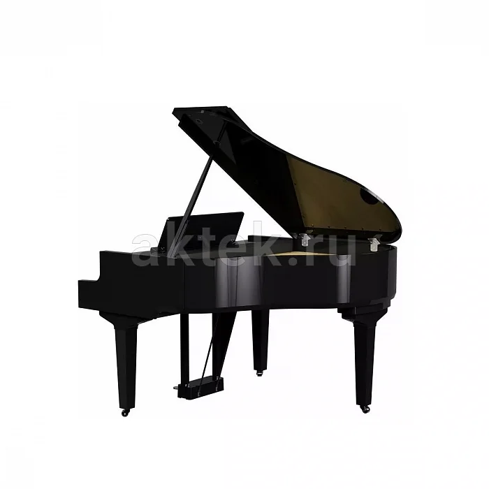 Roland GP 9 PE цифровой рояль, 324 тембра, восемь динамиков 9