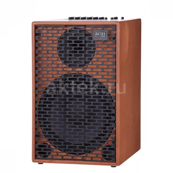 Acus One ForStrings 10Ferdi Wood гитарный усилитель, 250 Вт 4