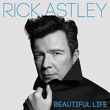 Виниловая пластинка RICK ASTLEY - BEAUTIFUL LIFE 180 GRAM BLACK VINYL 12"