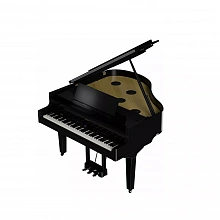 Roland GP 9 PE цифровой рояль, 324 тембра, восемь динамиков 2