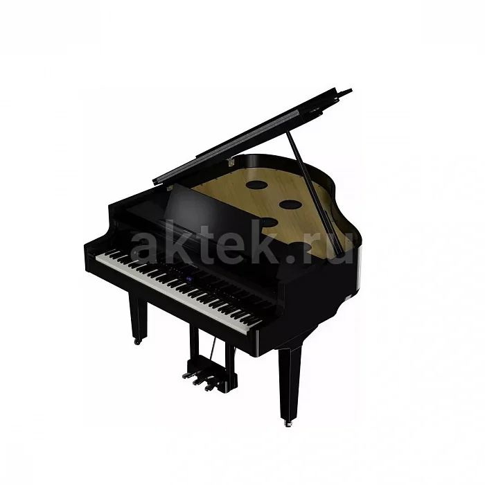 Roland GP 9 PE цифровой рояль, 324 тембра, восемь динамиков 2