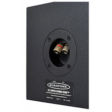 Студийные мониторы Auratone 5C Passive Pair Black 3
