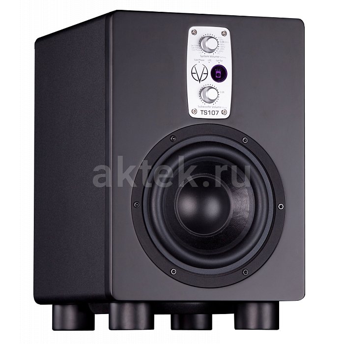 Студийный сабвуфер Eve Audio TS107 9